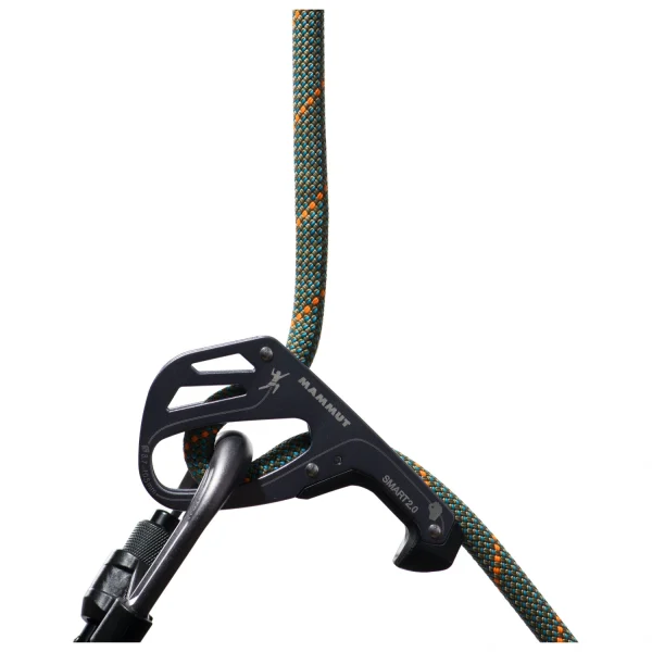 Mammut – 9.9 Crag Workhorse Dry Rope – Corde à Simple Satisfait ou Remboursé 4